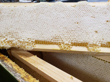 Load image into Gallery viewer, Pure, Raw Honey